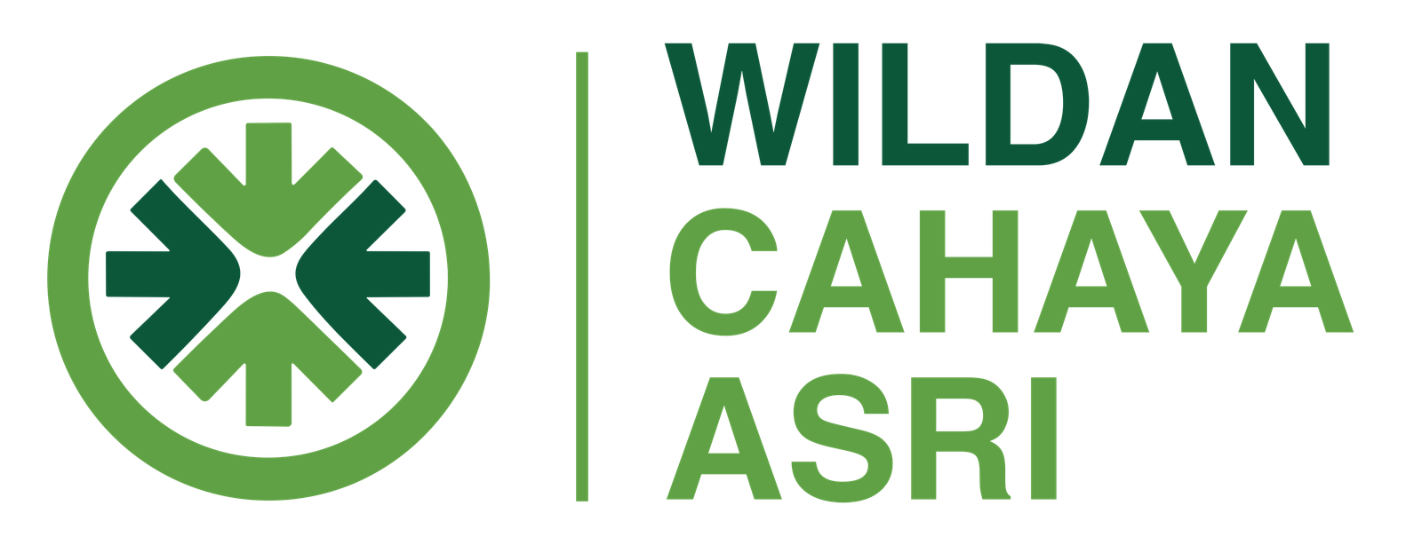 Wildan Cahaya Asri